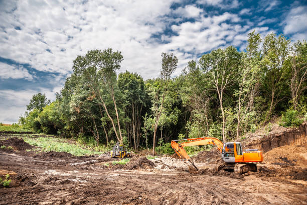 Jasa Land Clearing Terbaru 2025 – Solusi Cepat & Tepat untuk Pembersihan Lahan Proyek Anda